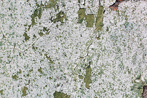 포토 JPG 해외이미지 디자인 외관 벽 백그라운드 패턴 날씨 추상 주택 사람없음 건물 빨간색 초록색 파란색 어둠 페인트 손상 골동품 껍질 흰색 도시 얼룩 거친 고민 질감 복고 스크래치 나쁜 곰팡이 구식 그런지 깨짐 방법 석고 옛날 콘크리트 해외202004 해외포토 건축물 감정 컬러 컨셉 무늬 파일형식 이미지허브