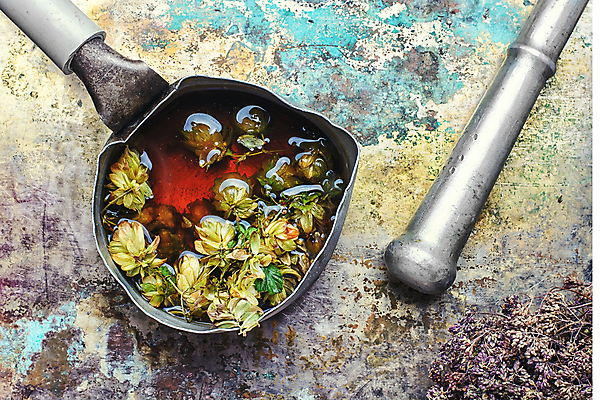 포토 JPG 해외이미지 실내 사람없음 국자 아로마테라피 막자 나무배경 해외202004 홉 해외포토 식물 백그라운드 주방용품 내부 테라피 파일형식 이미지허브