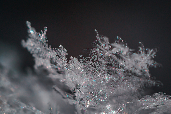 포토 JPG 해외이미지 모양 디자인 백그라운드 크리스마스 겨울 패턴 자연 추상 사람없음 파란색 빛 반짝임 얼음 검은색 어둠 눈송이 화려 우아함 심볼 오브젝트 육각형 광 특별함 해외202004 해외포토 자연요소 도형 계절 기념일 컬러 컨셉 무늬 모션 눈_날씨 생태계 파일형식 이미지허브