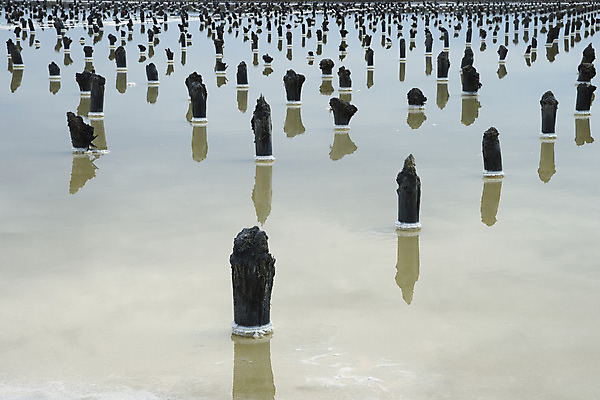 포토 JPG 해외이미지 산업 호수 패턴 추상 바닥 풍경 사람없음 야외 가로 물 여름 반사 러시아 소금 내추럴 옛날 짠맛 카자흐스탄 해외202004 해외포토 자연요소 계절 유럽 아시아 무늬 맛 파일형식 이미지허브