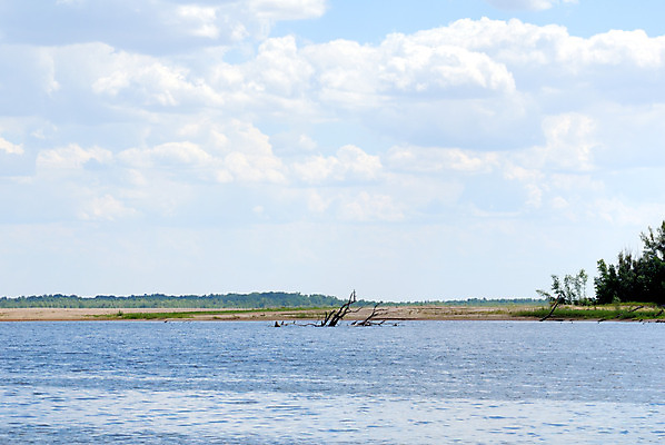 포토 JPG 해외이미지 나무 식물 구름 모래 줄기 백그라운드 잎 자연 탁자 하늘 표면 날씨 휴식 풍경 사람없음 야외 초록색 물 여름 파란색 강 햇빛 태양 반사 환경 침묵 흐름 소나무 개울 숲 땅 러시아 지역 해외202004 해외포토 자연요소 계절 유럽 컬러 가구 컨셉 소리 생태계 파일형식 이미지허브