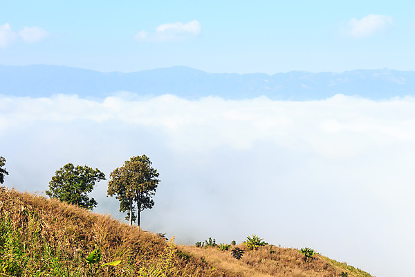 포토 JPG 해외이미지 나무 구름 계절 아시아 파도 바다 여행 백그라운드 겨울 밭 태국 자연 벽지 하늘 바람 날씨 산 풍경 사람없음 야외 파란색 환경 놀람 안개 흰색 시골 정상 언덕 장면 북쪽 내추럴 뿌연 해외202004 해외포토 자연요소 식물 감정 나라 컬러 농업 표정 방향 생태계 파일형식 이미지허브