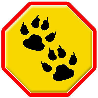 포토 JPG 해외이미지 아이콘 디자인 실루엣 도로 길 백그라운드 컨셉 일러스트 비즈니스 교통시설 자동차 화살 거리 버스 주택 경고 안전 사람없음 파란색 빛 컴퓨터 세트 자전거 운전 정보 오토바이 고속도로 보행자 위험 방향 심볼 사인 속도 신호 법 짐차 고립 그만 방법 한계 해외202004 해외포토 육상교통 컬러 교통 모션 대중교통 촬영기법 건물 전자제품 바이크 시설 파일형식 이미지허브