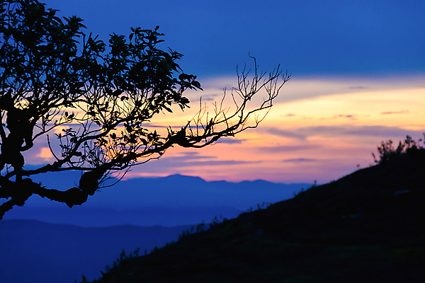 포토 JPG 해외이미지 나무 구름 실루엣 야생동물 백그라운드 오렌지 자연 하늘 산 풍경 사람없음 야외 파란색 햇빛 태양 일출 어둠 황혼 일몰 새벽 고독 저녁 싱글 장면 내추럴 해외202004 해외포토 자연요소 식물 동물 감정 컬러 과일 촬영기법 노을 야간 생태계 파일형식 이미지허브