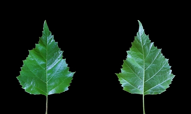 포토 JPG 해외이미지 사람없음 해외202004 해외포토 파일형식 이미지허브