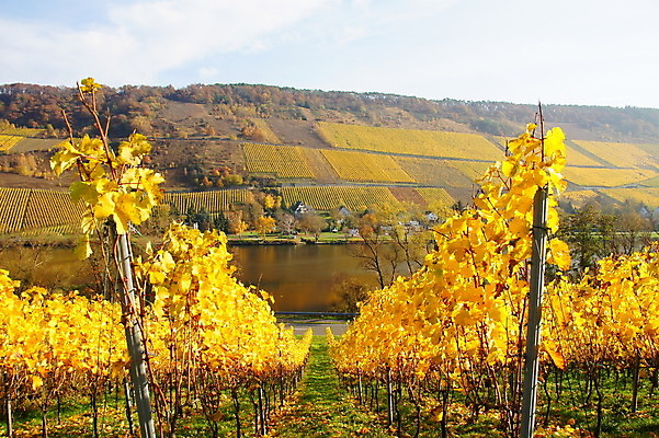 포토 JPG 해외이미지 사람없음 해외202004 해외포토 파일형식 이미지허브