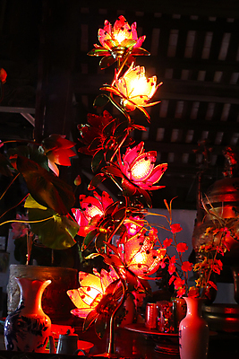 포토 JPG 해외이미지 꽃 별 백그라운드 과일 일러스트 전구 하늘 새로움 주택 연꽃 어류 사람없음 빨간색 물 파란색 빛 축제 중국 달 가을 흰색 등불 램프 심볼 사인 열정 고립 해외202004 해외포토 자연요소 식물 계절 감정 아시아 컬러 컨셉 조명 건물 수중동물 파일형식 이미지허브