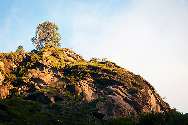 포토 JPG 해외이미지 나무 식물 구름 1 계절 자연 하늘 풍경 사람없음 야외 목재 초록색 파란색 햇빛 환경 자유 시골 고독 숲 땅 싱글 장면 내추럴 생태학 점화 혼자 생존 해외202004 해외포토 자연요소 교육 감정 컬러 컨셉 재료 태양 생태계 파일형식 이미지허브