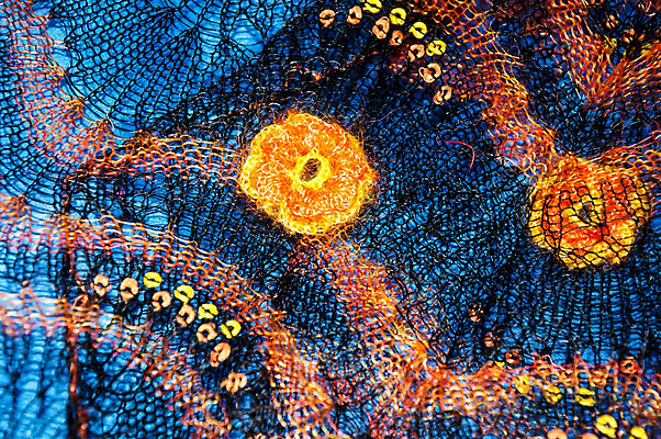 포토 JPG 해외이미지 식물 디자인 옷 백그라운드 패턴 따뜻함 미술 취미 사람없음 빛 쇼핑 유행 목도리 봄 흰색 직물 뜨개질 실 우아함 얽힘 바느질 모피 심볼 질감 땀 러시아 부드러움 실타래 섬유 솜털 양모 얇은 핸드메이드 해외202004 해외포토 잡화 계절 유럽 컬러 컨셉 무늬 문화예술 감각 파일형식 이미지허브