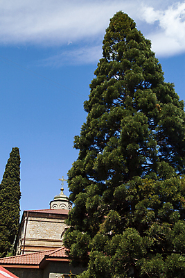 포토 JPG 해외이미지 나무 식물 공원 꽃 바다 여행 건축양식 자연 하늘 휴가 휴식 열대 산 손바닥 풍경 잔디 사람없음 야외 초록색 물 여름 파란색 교회 여행객 정원 검은색 흰색 스페인 휴양지 정사각형 지역 남쪽 내추럴 로스앤젤레스 안달루시아 이국적 해외202004 해외포토 자연요소 도형 손 계절 공공시설 건축 유럽 컬러 컨셉 종교건축 사람 건물 미국 장소 방향 생태계 파일형식 이미지허브