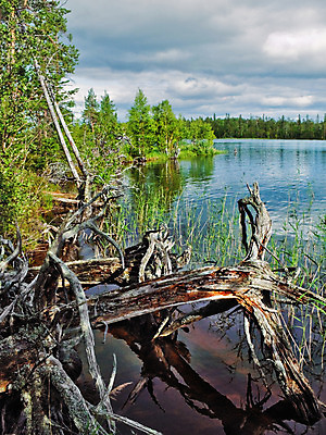 포토 JPG 해외이미지 나무 호수 자연 하늘 날씨 휴식 건조 풍경 사람없음 목재 세로 초록색 여름 파란색 강 태양 갈색 침묵 숲 즐거움 통나무 변소 생태학 해외202004 해외포토 자연요소 식물 계절 교육 감정 컬러 컨셉 재료 소리 생태계 파일형식 이미지허브