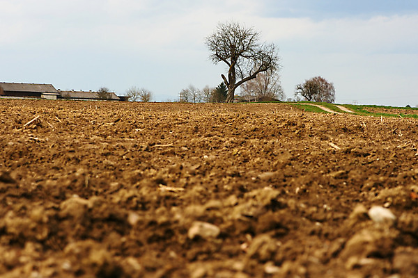 포토 JPG 해외이미지 나무 구름 유럽 도로 백그라운드 밭 농업 자연 하늘 바람 날씨 휴가 풍경 사람없음 야외 목재 초록색 여름 컬러풀 햇빛 태양 농장 농경지 평화 침묵 일몰 성장 시골 신선 저녁 밀 지역 밭일 파라다이스 평야 해외202004 해외포토 자연요소 식물 계절 나라 산업 길 컬러 컨셉 재료 교통시설 곡류 노을 소리 야간 생태계 파일형식 이미지허브