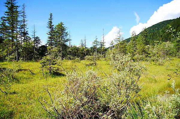 포토 JPG 해외이미지 사람없음 여름 해외202004 해외포토 계절 파일형식 이미지허브