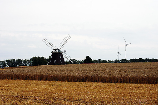 포토 JPG 해외이미지 구름 밭 농업 건축양식 자연 바람 풍경 사람없음 건물 농장 마을 힘 풍차 에너지 수확 시골 방앗간 밭일 옛날 해외202004 해외포토 자연요소 건축물 건축 산업 날씨 생태계 파일형식 이미지허브