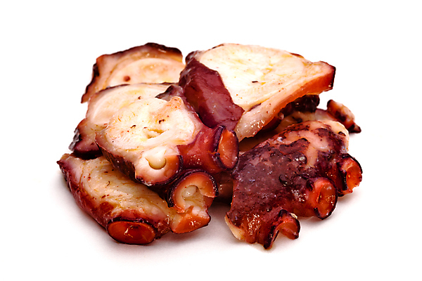 포토 JPG 해외이미지 음식 바다 조각 다이어트 자연 낚시 어류 사람없음 저녁식사 덮개 축하 신선 시장 맛 해산물 오징어 잔치 선원 문어 점심식사 스페인어 해외202004 해외포토 컨셉 레저 연체동물 건강 식사 수중동물 뚜껑 생태계 파일형식 이미지허브