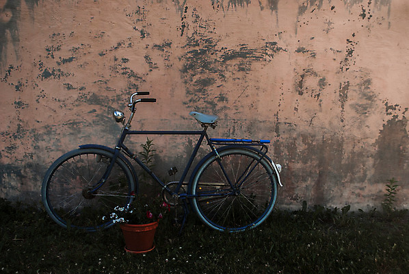 포토 JPG 해외이미지 꽃 유럽 문화 벽 여행 백그라운드 사람없음 장식 세로 초록색 파란색 컬러풀 갈색 자전거 검은색 봄 이탈리아 수확 골동품 흰색 시골 바퀴 클래식 냄비 복고 순환 반대 프랑스어 옛날 스타일 해외202004 해외포토 식물 문자 계절 나라 컬러 컨셉 농업 모션 바이크 솥 파일형식 이미지허브