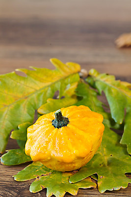 포토 JPG 해외이미지 계절 백그라운드 잎 호박 사람없음 장식 갈색 노란색 가을 시골 해외202004 해외포토 식물 컬러 채소 파일형식 이미지허브