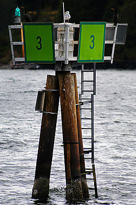 포토 JPG 해외이미지 바다 사람없음 야외 물 보트 방향 돌고래 수로 네비게이션 해외202004 해외포토 자연요소 배_교통 포유류 수중동물 파일형식 이미지허브