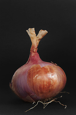 포토 JPG 해외이미지 식물 도로 조각 채소 과일 부분 사람없음 빨간색 쌓기 보라색 수확 껍질 흰색 최고 그룹 달콤 향신료 날것 슬라이스 뿌리 광택 숙성 채식주의자 비건 해외202004 해외포토 길 컬러 농업 교통시설 모션 맛 채식 향미료 파일형식 이미지허브