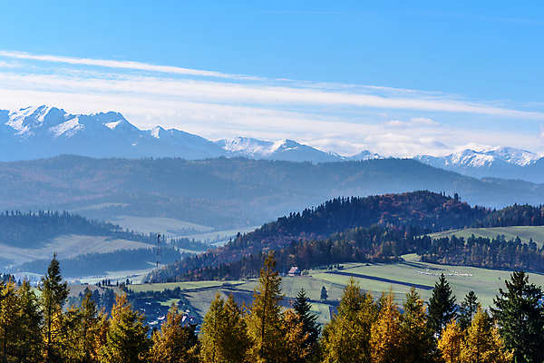 포토 JPG 해외이미지 나무 유럽 여행 자연 아침 산 주택 풍경 사람없음 파란색 태양 노란색 평화 가을 양 폴란드 슬로바키아 해외202004 해외포토 주간 자연요소 식물 계절 나라 컬러 컨셉 포유류 건물 생태계 파일형식 이미지허브