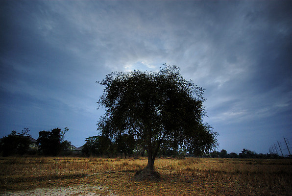 포토 JPG 해외이미지 나무 구름 계절 공원 백그라운드 밭 일러스트 자연 하늘 바람 날씨 풍경 사람없음 야외 가로 파란색 빛 평화 검은색 어둠 수확 달 시골 소나무 고독 야간 저녁 땅 가득함 언덕 질감 캘리포니아 장면 폭풍 마법 내추럴 그런지 수평선 해외202004 해외포토 자연요소 식물 공공시설 감정 컬러 컨셉 농업 미국 생태계 파일형식 이미지허브