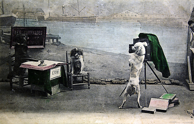 포토 JPG 해외이미지 모델 백그라운드 일러스트 털 미술 사람없음 책 글로벌 카메라 수확 골동품 인사 신용카드 그리기 역사 재산 개 수집 사진사 그림 복고 러시아 삼각대 러시아인 제국 특별함 해외202004 해외포토 서양인 유럽 컨셉 농업 포유류 모션 문화예술 금융 전자제품 예절 작가 파일형식 이미지허브