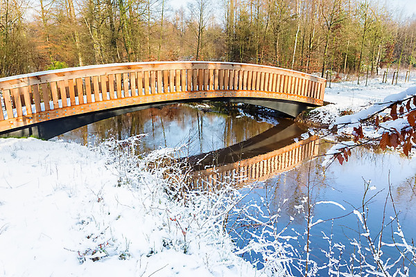 포토 JPG 해외이미지 나무 공원 유럽 도로 길 십자가 겨울 건축양식 자국 자연 날씨 풍경 사람없음 목재 물 강 걷기 환경 냉동 하이킹 추위 흰색 개울 보행자 숲 오솔길 서리 지역 내추럴 루트 보호구역 철책 눈내림 해외202004 해외포토 자연요소 식물 계절 공공시설 건축 나라 컬러 재료 교통시설 모션 레저 눈_날씨 생태계 구역 파일형식 이미지허브