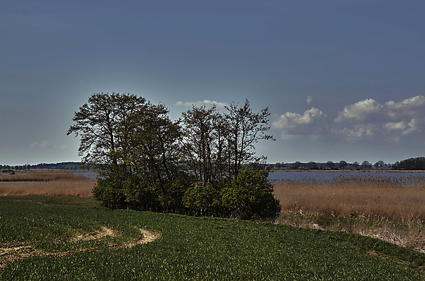 포토 JPG 해외이미지 나무 식물 구름 유럽 도로 호수 하늘 독일 풍경 사람없음 물 봄 먼지 평야 수평선 해외202004 해외포토 자연요소 계절 나라 길 교통시설 자연 파일형식 이미지허브