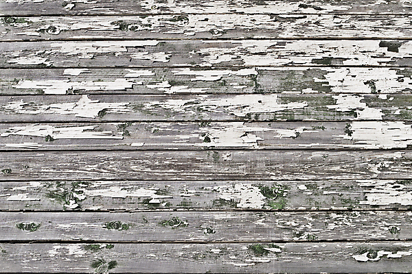 포토 JPG 해외이미지 디자인 벽 백그라운드 패턴 자연 날씨 추상 건조 사람없음 목재 빛 울타리 회색 수확 흰색 판넬 널 책상 질감 복고 스포트라이트 잡동사니 내추럴 구식 그런지 엘리먼트 옛날 울퉁불퉁 해외202004 해외포토 나무 컬러 가구 무늬 농업 재료 담장 생태계 파일형식 이미지허브