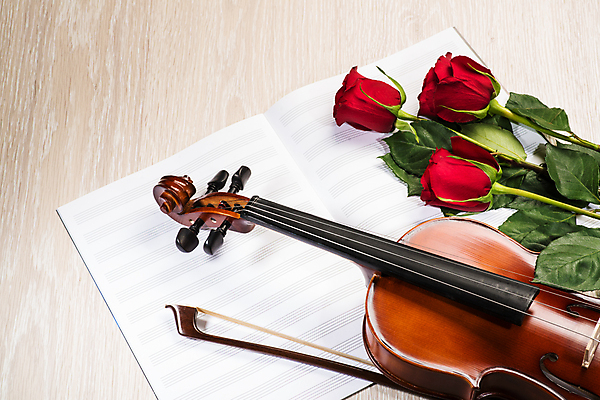 포토 JPG 해외이미지 사람없음 장미 우아함 바이올린 악보 나무바닥 바이올린활 해외202004 해외포토 꽃 음악 컨셉 현악기 바닥 파일형식 이미지허브