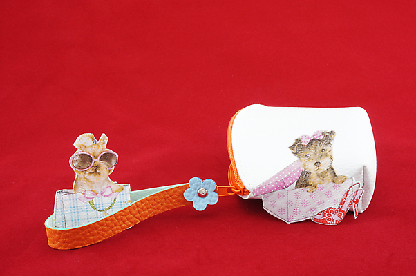 포토 JPG 해외이미지 여자 돈 가방 오렌지 장신구 열쇠 손잡이 사람없음 쇼핑 유행 저축 흰색 신용카드 지갑 개 구매 주머니 결제 수납 고립 해외202004 해외포토 잡화 컬러 과일 포유류 사람 금융 재산 파일형식 이미지허브