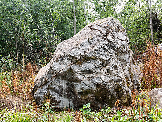 포토 JPG 해외이미지 백그라운드 자연 풍경 사람없음 야외 손상 바위 원형 큼 싱글 거인 내추럴 격파 땅바닥 지질학 화강암 해외202004 해외포토 도형 교육 컨셉 모션 바닥 암석 돌_바위 크기 생태계 파일형식 이미지허브