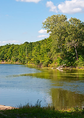 포토 JPG 해외이미지 나무 식물 공원 꽃 호수 줄기 낙엽 잎 자연 하늘 휴가 풍경 사람없음 야외 초록색 물 여름 파란색 강 반사 환경 침묵 봄 흐름 개울 황무지 숲 상쾌 장면 지역 상록수 섞기 웅장함 전국 해외202004 해외포토 자연요소 계절 공공시설 감정 컬러 컨셉 소리 생태계 파일형식 이미지허브