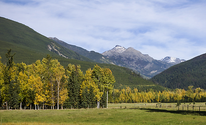 포토 JPG 해외이미지 나무 밭 오렌지 산 사람없음 초록색 노란색 가을 해외202004 해외포토 식물 계절 컬러 농업 과일 파일형식 이미지허브