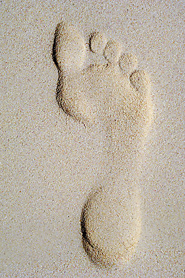 포토 JPG 해외이미지 길 모래 여행 백그라운드 컨셉 맨발 발 자연 휴가 새로움 사람 사람없음 여름 산책 자유 탐험 인쇄 발자국 흔적 검색 통로 질감 바둑 단계 루트 방법 벌거벗은 양발 혼자 각인 해외202004 해외포토 계절 자국 놀이 휴식 신체부위 생태계 파일형식 이미지허브