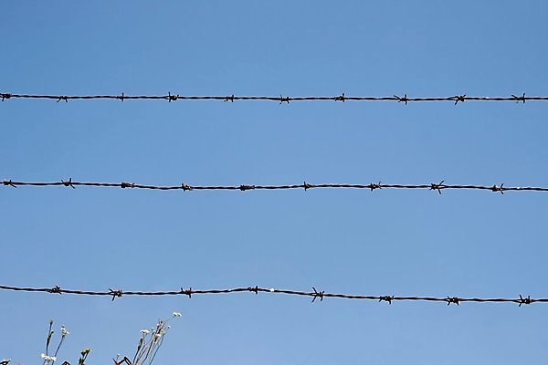 포토 JPG 해외이미지 꽃 농업 하늘 3 사람없음 야외 파란색 울타리 갈색 금속 철 부식 날카로움 철사 철조망 스파이크 철강 해외202004 해외포토 식물 산업 컬러 재질 담장 파일형식 이미지허브