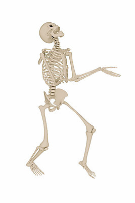 포토 JPG 해외이미지 남자 과학 포즈 백그라운드 신체 일러스트 해부 뼈 골격 사람 사람없음 약 3D 할로윈 흰색 엉덩이 척추 어깨 생물학 만들기 바비큐립 고립 궤 해골모형 해외202004 해외포토 교육 컬러 의학 모션 신체부위 모형 바비큐 디지털합성 파일형식 이미지허브