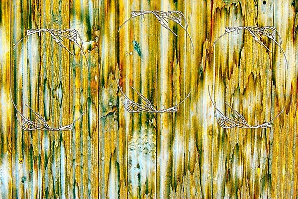 포토 JPG 해외이미지 나무 디자인 벽 백그라운드 패턴 자연 표면 날씨 추상 바닥 프레임 형상 사람없음 목재 울타리 갈색 어둠 줄무늬 골동품 소나무 판넬 얼룩 거친 플랫 널 낟알 질감 복고 매듭 결 내추럴 구식 그런지 방법 수목 옛날 노화 효과 해외202004 해외포토 식물 컬러 컨셉 무늬 재료 담장 생태계 파일형식 이미지허브