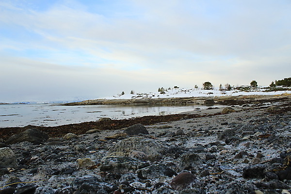 포토 JPG 해외이미지 식물 음식 바다 여행 백그라운드 자연 표면 추상 새로움 노르웨이 사람없음 야외 초록색 물 파란색 반사 갈색 노란색 바위 해조류 닫기 묘사 질감 장면 태평양 서식지 남쪽 내추럴 수경재배 해외202004 해외포토 자연요소 유럽 컬러 컨셉 무늬 모션 돌_바위 해양식물 방향 생태계 파일형식 이미지허브