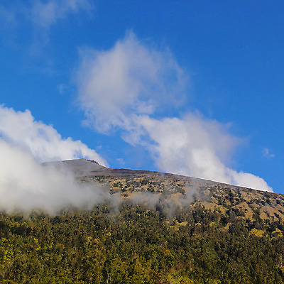 포토 JPG 해외이미지 나무 구름 여행 잎 자연 하늘 산 풍경 사람없음 초록색 계곡 숲 언덕 내추럴 해외202004 해외포토 자연요소 식물 컬러 생태계 파일형식 이미지허브