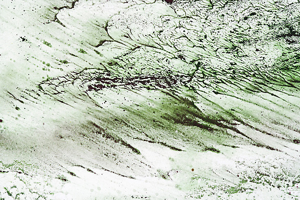 포토 JPG 해외이미지 패턴 표면 추상 건조 사람없음 얼룩 거친 질감 진흙 그런지 해외202004 해외포토 무늬 파일형식 이미지허브