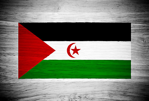 포토 JPG 해외이미지 아이콘 디자인 별 벽 백그라운드 패턴 자연 벽지 표면 바닥 프레임 사람없음 목재 장식 빨간색 초록색 검은색 수확 달 흰색 깃발 판넬 거친 널 심볼 묘사 사인 그림 질감 복고 사하라 애국심 내추럴 그런지 서쪽 옛날 전국 효과 해외202004 해외포토 자연요소 나무 컬러 무늬 농업 재료 아프리카 사막 방향 생태계 파일형식 이미지허브