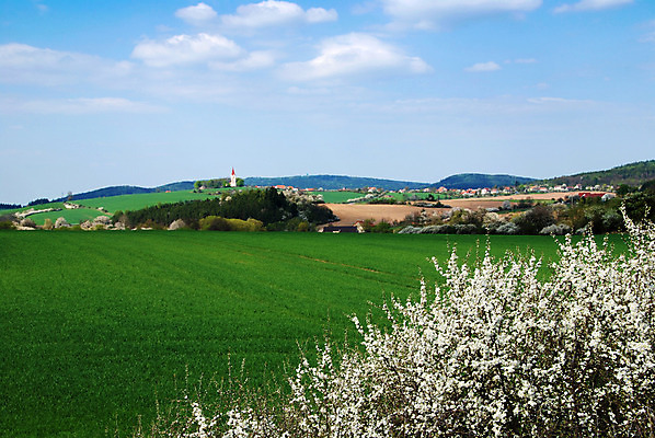 포토 JPG 해외이미지 나무 식물 구름 배너 계절 꽃 도로 백그라운드 밭 농업 자연 하늘 풍경 사람없음 초록색 파란색 평화 환경 봄 시골 숲 큼 밀 언덕 체코 내추럴 방법 생태학 해외202004 해외포토 자연요소 교육 유럽 산업 길 컬러 컨셉 교통시설 곡류 크기 생태계 파일형식 이미지허브