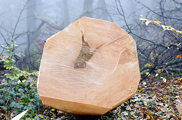 포토 JPG 해외이미지 나무 사람없음 목재 숲 자르기 도끼 해외202004 해외포토 식물 재료 모션 파일형식 이미지허브