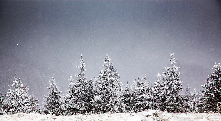 포토 JPG 해외이미지 나무 계절 행복 여행 백그라운드 크리스마스 겨울 자연 하늘 날씨 휴가 새로움 산 기념 요정 국립공원 풍경 사람없음 야외 파란색 빛 태양 얼음 축제 추위 흰색 축하 소나무 눈송이 숲 12월 연도 서리 전나무 루마니아 1월 폭설 눈내림 해외202004 해외포토 자연요소 식물 공원 기념일 감정 유럽 컬러 컨셉 눈_날씨 날짜 자연재해 생태계 파일형식 이미지허브