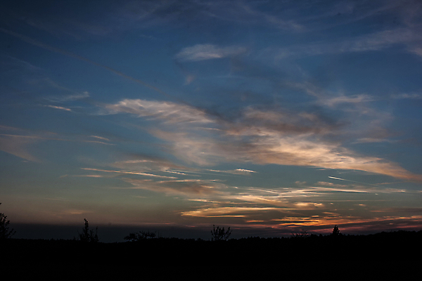 포토 JPG 해외이미지 나무 실루엣 자연 하늘 아침 독일 풍경 사람없음 빛 태양 일출 어둠 황혼 일몰 새벽 야간 저녁 숲 바이에른 해외202004 해외포토 주간 자연요소 식물 유럽 촬영기법 노을 생태계 파일형식 이미지허브