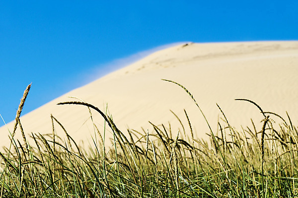 포토 JPG 해외이미지 유럽 모래 파도 바다 여행 자연 하늘 덴마크 풍경 사람없음 가로 파란색 모래언덕 해외202004 해외포토 나라 컬러 북유럽 언덕 생태계 파일형식 이미지허브