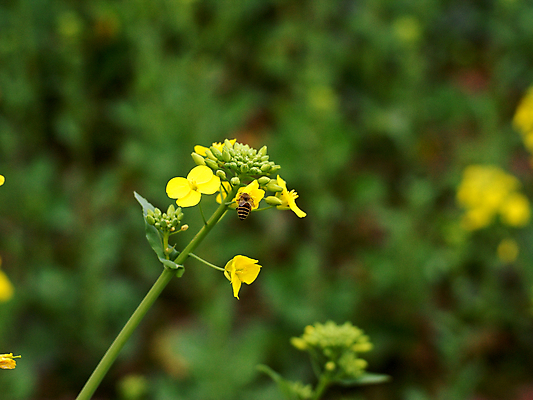 포토 JPG 해외이미지 사람없음 해외202004 해외포토 파일형식 이미지허브