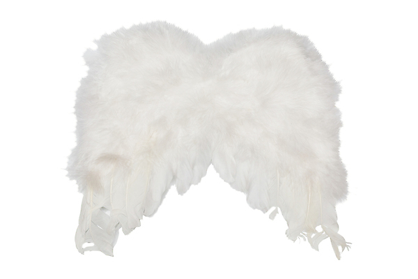 포토 JPG 해외이미지 2 날개 천사 요정 발렌타인데이 사랑 사람없음 평화 자유 흰색 쌍 영혼 깃털 공상 천국 고립 인공 해외202004 해외포토 감정 컬러 컨셉 데이이벤트 파일형식 이미지허브