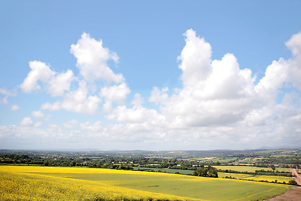 포토 JPG 해외이미지 나무 식물 구름 꽃 음식 백그라운드 밭 농업 자연 하늘 산 풍경 사람없음 초록색 여름 파란색 농작물 컬러풀 농장 노란색 환경 맑음 봄 수확 시골 신선 황금 땅 머스터드 아일랜드 천국 내추럴 수평선 세련 해외202004 해외포토 자연요소 계절 유럽 산업 컬러 날씨 소스_음식 생태계 파일형식 이미지허브